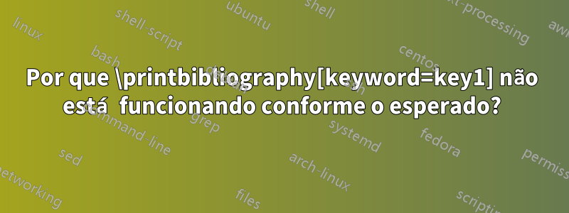 Por que \printbibliography[keyword=key1] não está funcionando conforme o esperado?