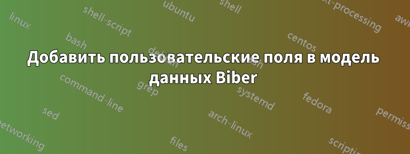 Добавить пользовательские поля в модель данных Biber