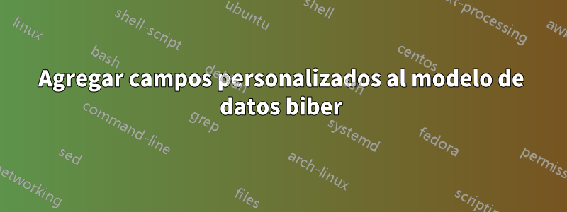 Agregar campos personalizados al modelo de datos biber