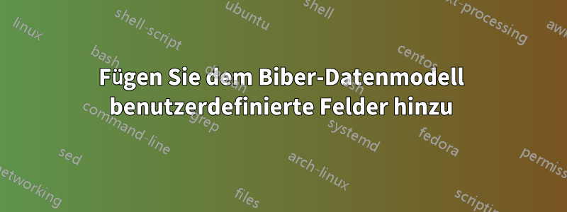 Fügen Sie dem Biber-Datenmodell benutzerdefinierte Felder hinzu