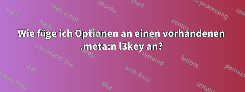 Wie füge ich Optionen an einen vorhandenen .meta:n l3key an?