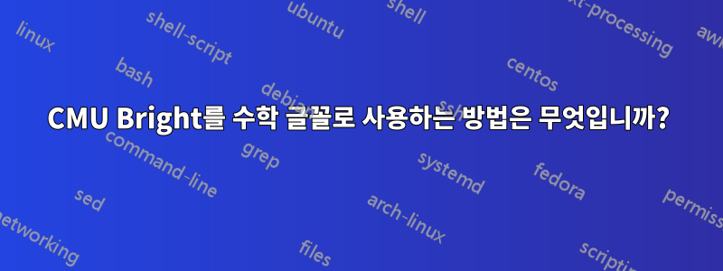 CMU Bright를 수학 글꼴로 사용하는 방법은 무엇입니까?