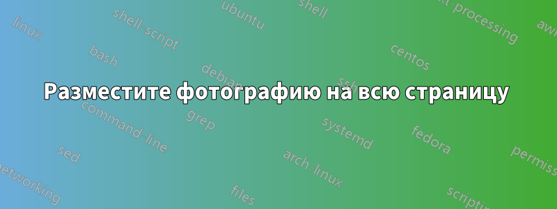 Разместите фотографию на всю страницу