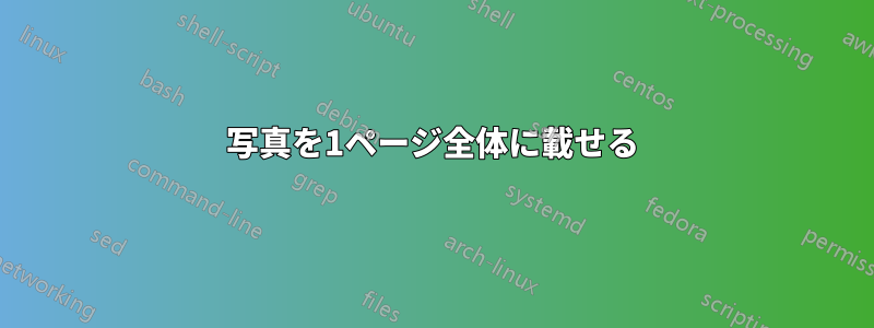 写真を1ページ全体に載せる