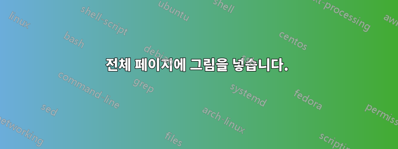 전체 페이지에 그림을 넣습니다.