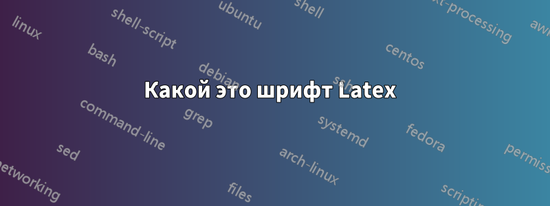 Какой это шрифт Latex 