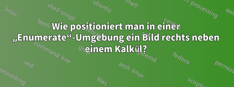 Wie positioniert man in einer „Enumerate“-Umgebung ein Bild rechts neben einem Kalkül?