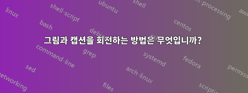 그림과 캡션을 회전하는 방법은 무엇입니까?