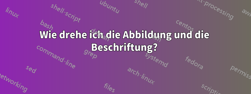 Wie drehe ich die Abbildung und die Beschriftung?