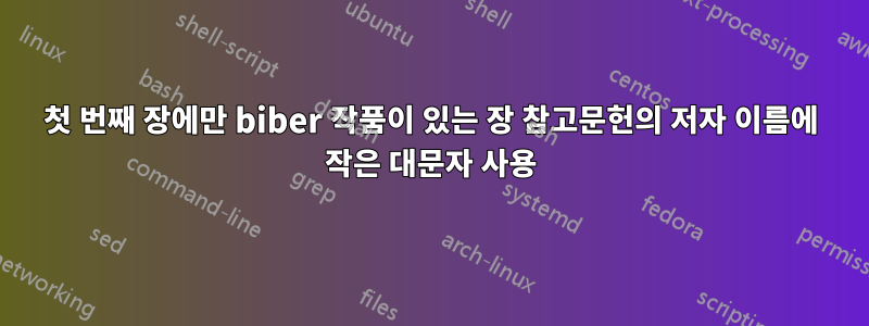 첫 번째 장에만 biber 작품이 있는 장 참고문헌의 저자 이름에 작은 대문자 사용