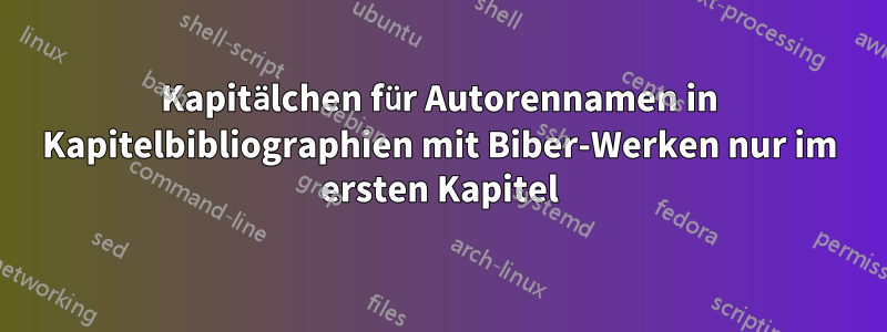 Kapitälchen für Autorennamen in Kapitelbibliographien mit Biber-Werken nur im ersten Kapitel