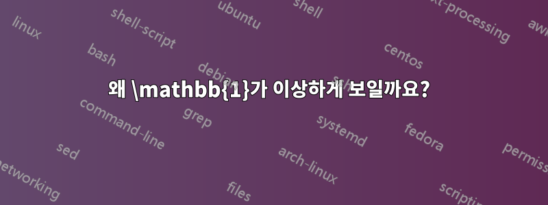 왜 \mathbb{1}가 이상하게 보일까요? 