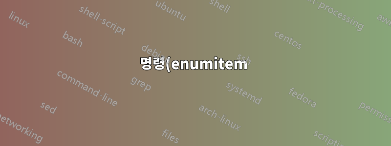 명령(enumitem)을 사용하여 설명 레이블 형식을 지정하는 방법
