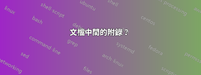 文檔中間的附錄？