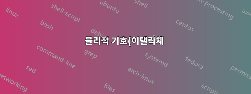 물리적 기호(이탤릭체)