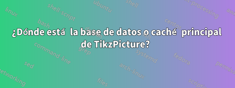 ¿Dónde está la base de datos o caché principal de TikzPicture? 