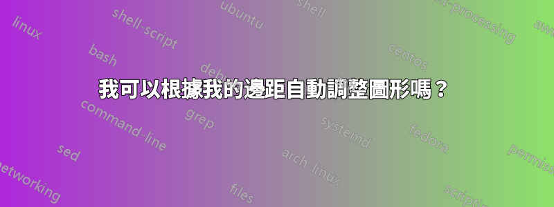 我可以根據我的邊距自動調整圖形嗎？