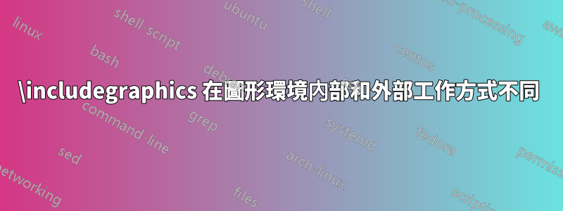 \includegraphics 在圖形環境內部和外部工作方式不同