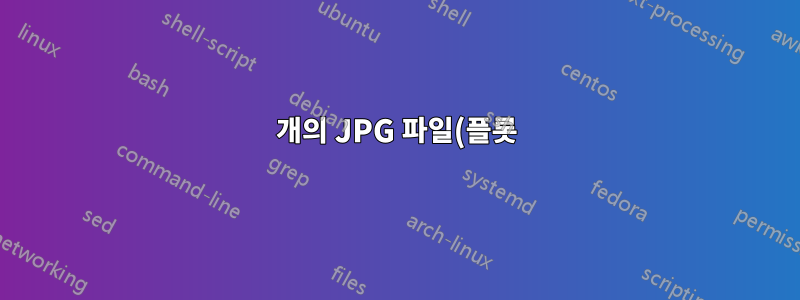 4개의 JPG 파일(플롯)을 전체 페이지의 4개 부분으로 배열하는 방법은 무엇입니까?