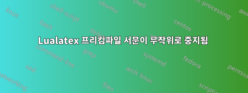 Lualatex 프리컴파일 서문이 무작위로 중지됨