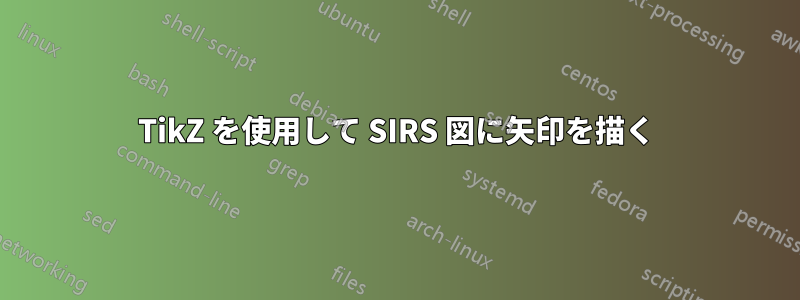 TikZ を使用して SIRS 図に矢印を描く