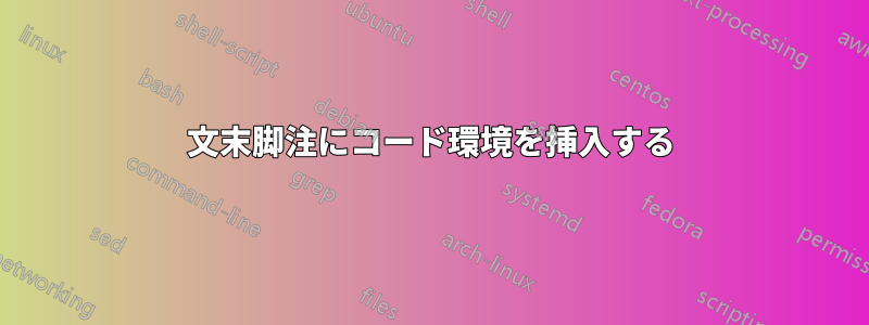 文末脚注にコード環境を挿入する