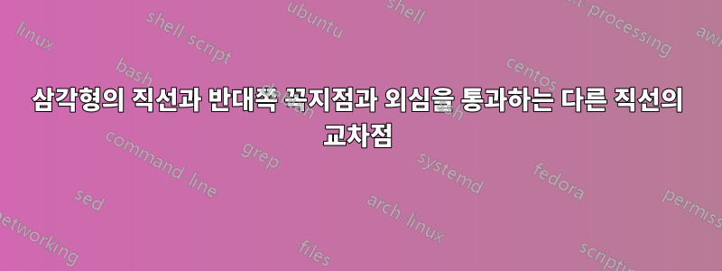 삼각형의 직선과 반대쪽 꼭지점과 외심을 통과하는 다른 직선의 교차점