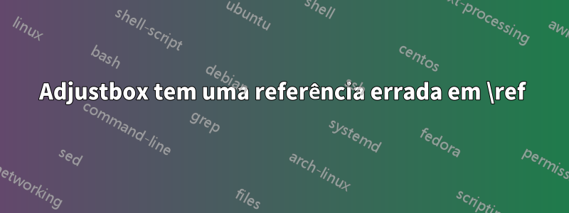 Adjustbox tem uma referência errada em \ref