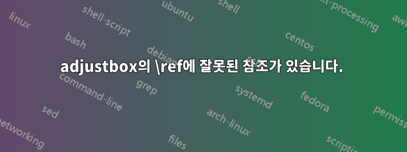 adjustbox의 \ref에 잘못된 참조가 있습니다.