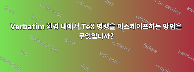 Verbatim 환경 내에서 TeX 명령을 이스케이프하는 방법은 무엇입니까?