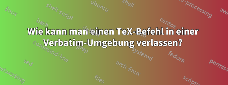 Wie kann man einen TeX-Befehl in einer Verbatim-Umgebung verlassen?