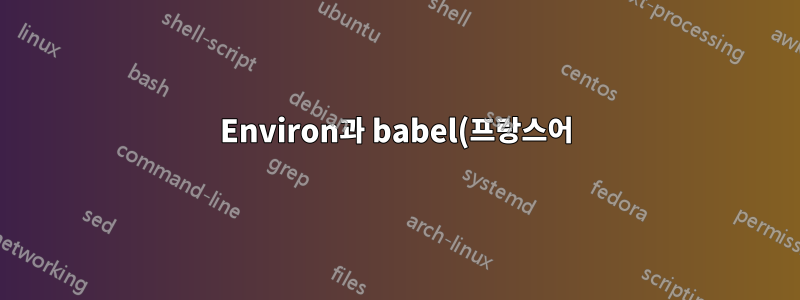 Environ과 babel(프랑스어) 패키지 간의 충돌