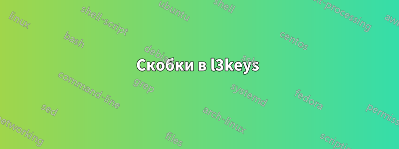 Скобки в l3keys