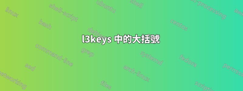 l3keys 中的大括號