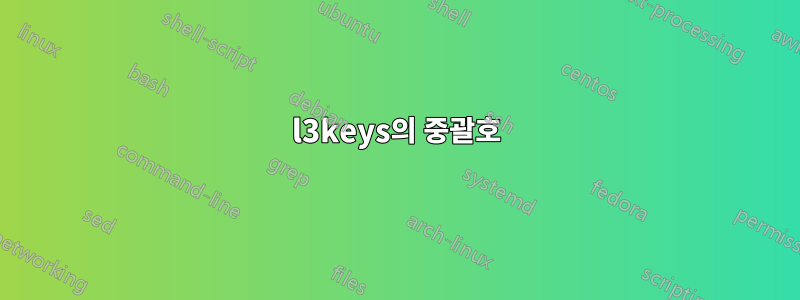 l3keys의 중괄호