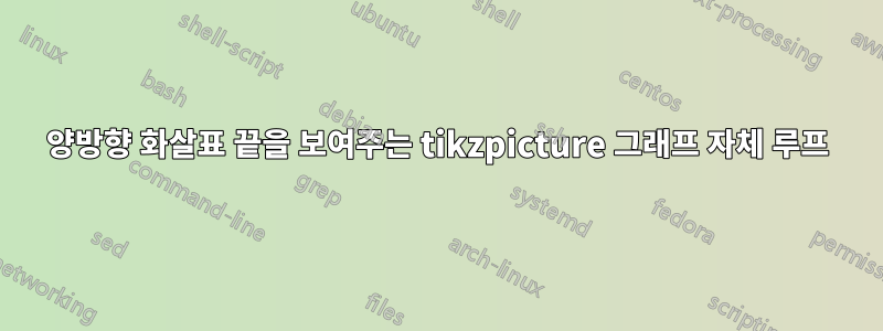 양방향 화살표 끝을 보여주는 tikzpicture 그래프 자체 루프