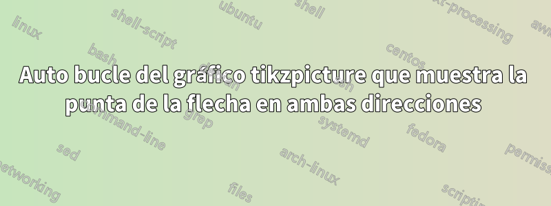 Auto bucle del gráfico tikzpicture que muestra la punta de la flecha en ambas direcciones