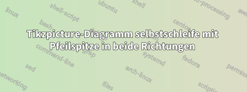 Tikzpicture-Diagramm selbstschleife mit Pfeilspitze in beide Richtungen