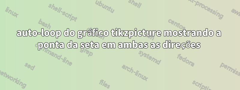 auto-loop do gráfico tikzpicture mostrando a ponta da seta em ambas as direções