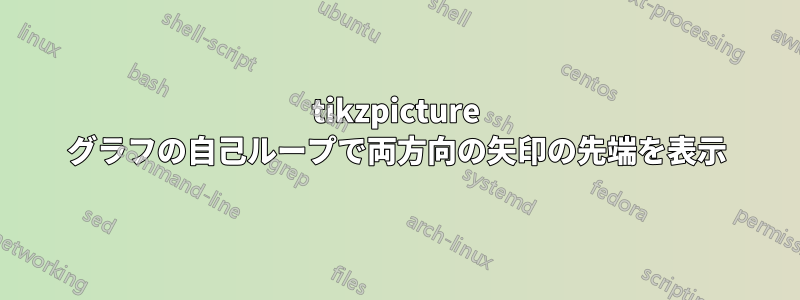 tikzpicture グラフの自己ループで両方向の矢印の先端を表示