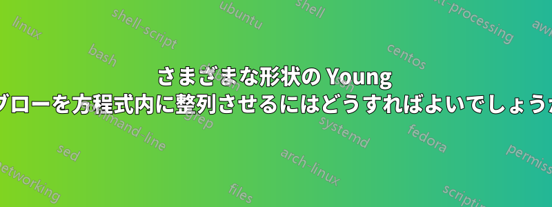 さまざまな形状の Young タブローを方程式内に整列させるにはどうすればよいでしょうか?