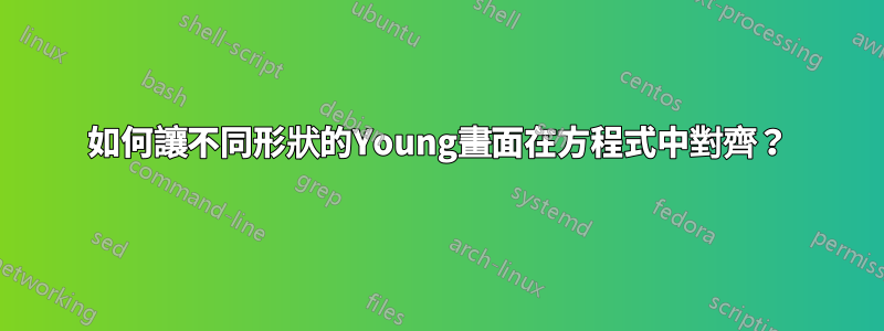 如何讓不同形狀的Young畫面在方程式中對齊？