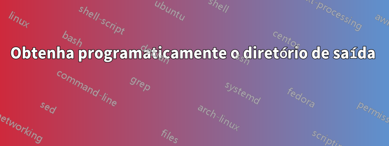 Obtenha programaticamente o diretório de saída 