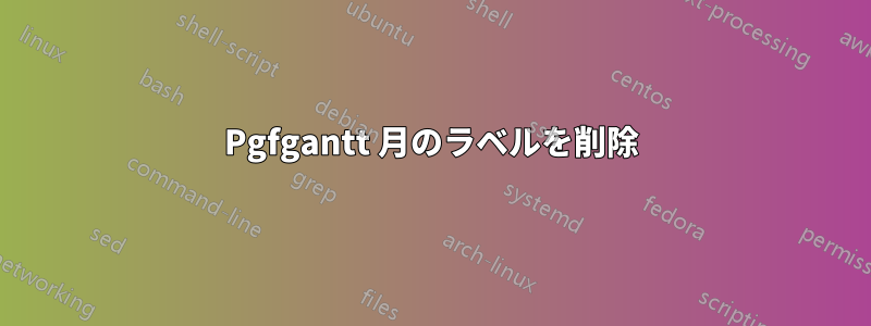 Pgfgantt 月のラベルを削除