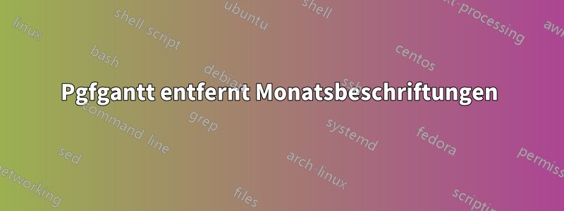 Pgfgantt entfernt Monatsbeschriftungen