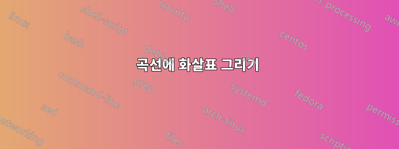 곡선에 화살표 그리기