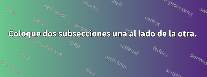 Coloque dos subsecciones una al lado de la otra.