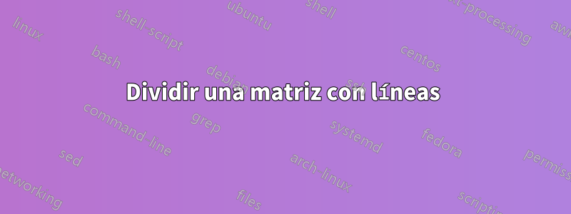 Dividir una matriz con líneas
