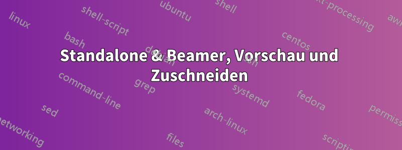 Standalone & Beamer, Vorschau und Zuschneiden