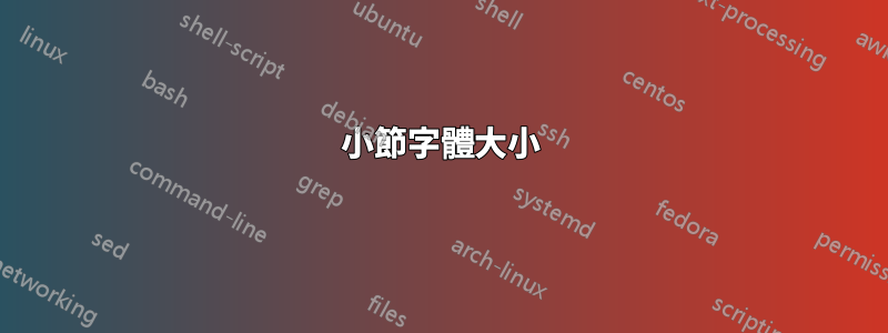 小節字體大小